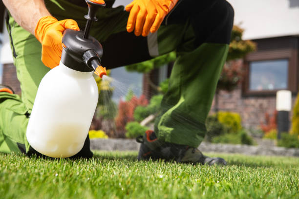 Reliable Tucson, AZ Pest Control Solutions