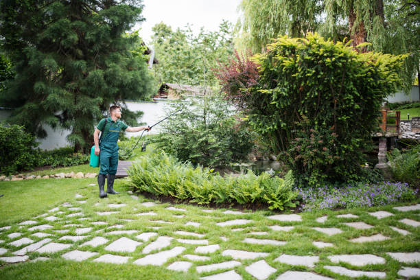 Best Local Pest Control Services  in Tucson, AZ